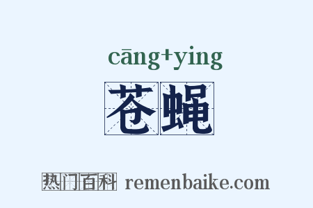 苍蝇是什么意思的图片